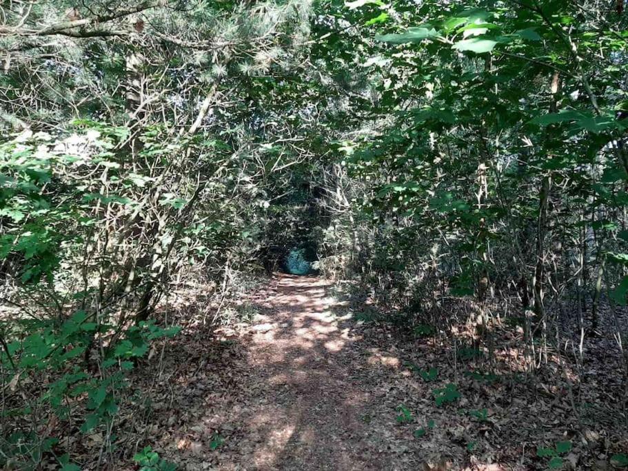 Vakantiehuis Eikzicht Gelegen Aan Het Bos Elsloo  المظهر الخارجي الصورة