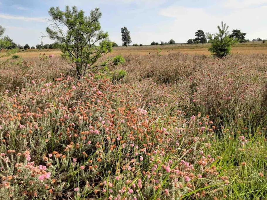 Vakantiehuis Eikzicht Gelegen Aan Het Bos Elsloo  المظهر الخارجي الصورة